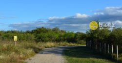 LOTES DE 1950M2 EN CARPINTERIA
