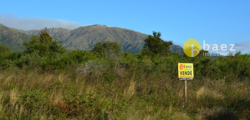 LOTES DE 1950M2 EN CARPINTERIA