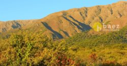 LOTE DE 5000M2 EN CARPINTERÍA