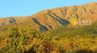 LOTE DE 5000M2 EN CARPINTERÍA