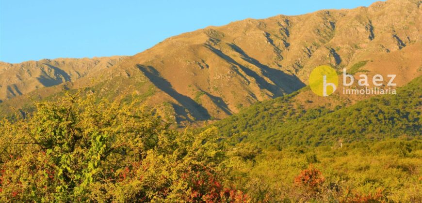 LOTE DE 5000M2 EN CARPINTERÍA