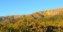 LOTE DE 5000M2 EN CARPINTERÍA