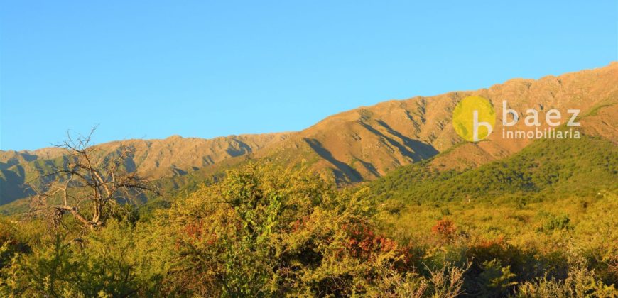 LOTE DE 5000M2 EN CARPINTERÍA