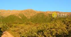 LOTE DE 5000M2 EN CARPINTERÍA