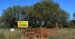 LOTE DE 2000M2 EN CARPINTERÍA