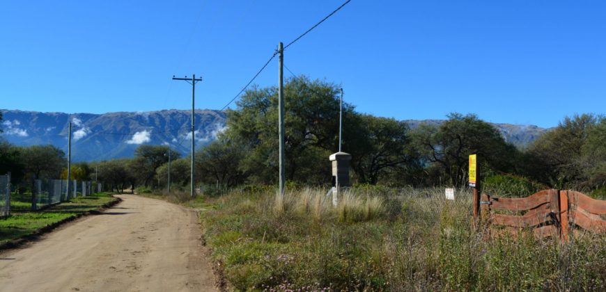 LOTE DE 2000M2 EN CARPINTERÍA