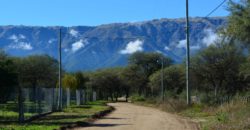 LOTE DE 2000M2 EN CARPINTERÍA