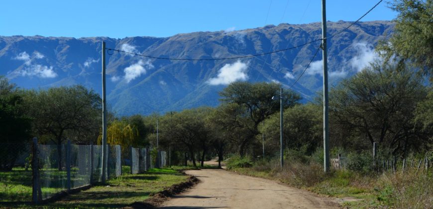 LOTE DE 2000M2 EN CARPINTERÍA