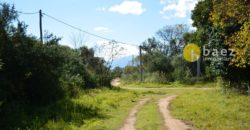 LOTES CÉNTRICOS DE 1035M2 EN LOS MOLLES