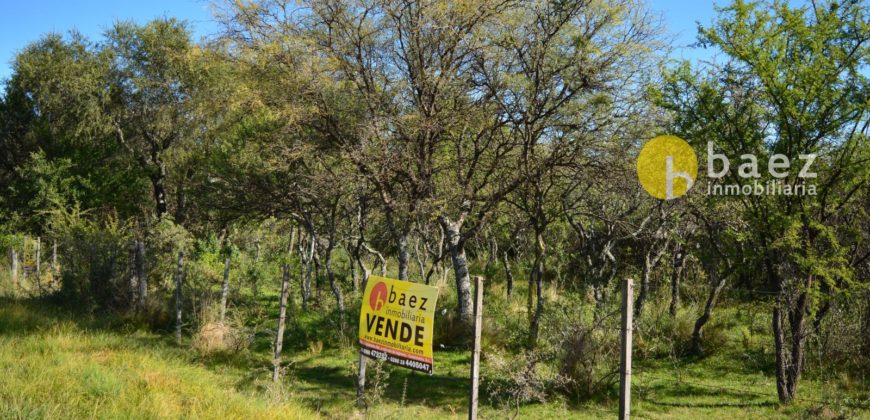 LOTES CÉNTRICOS DE 1035M2 EN LOS MOLLES