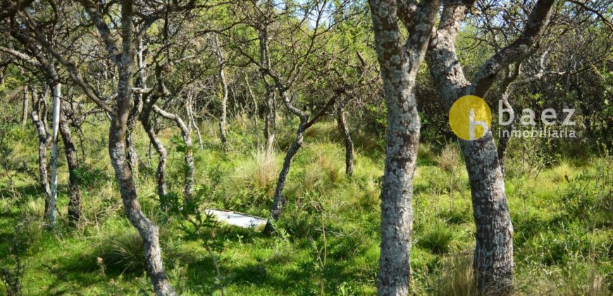 LOTES CÉNTRICOS DE 1035M2 EN LOS MOLLES