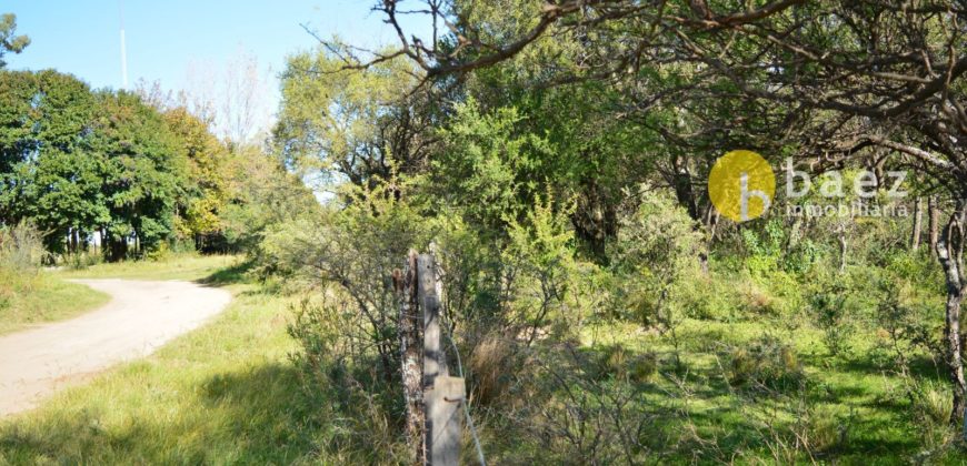 LOTES CÉNTRICOS DE 1035M2 EN LOS MOLLES