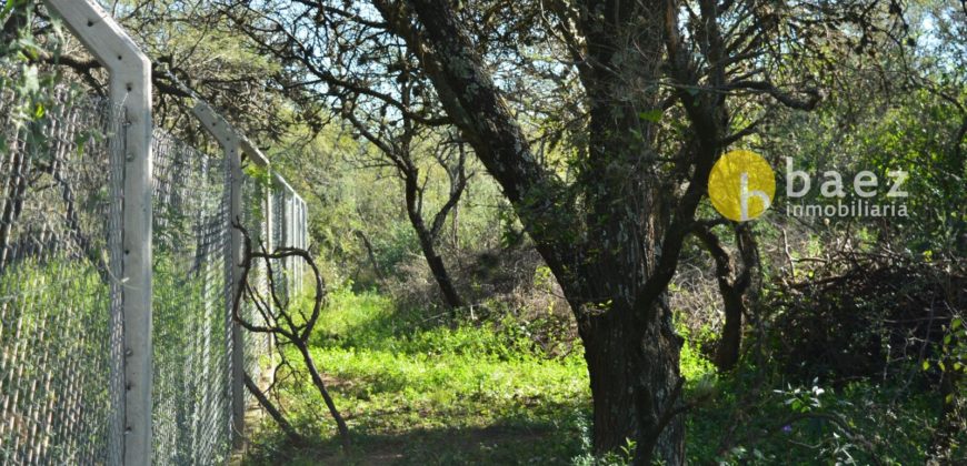 LOTES CÉNTRICOS DE 1035M2 EN LOS MOLLES