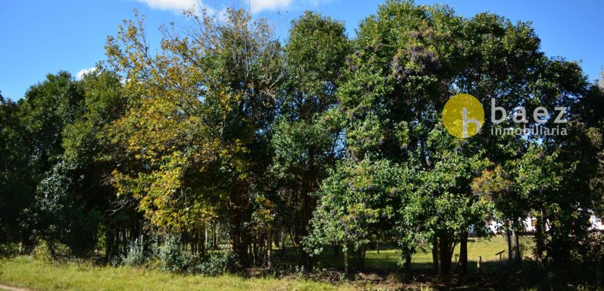 LOTES CÉNTRICOS DE 1035M2 EN LOS MOLLES