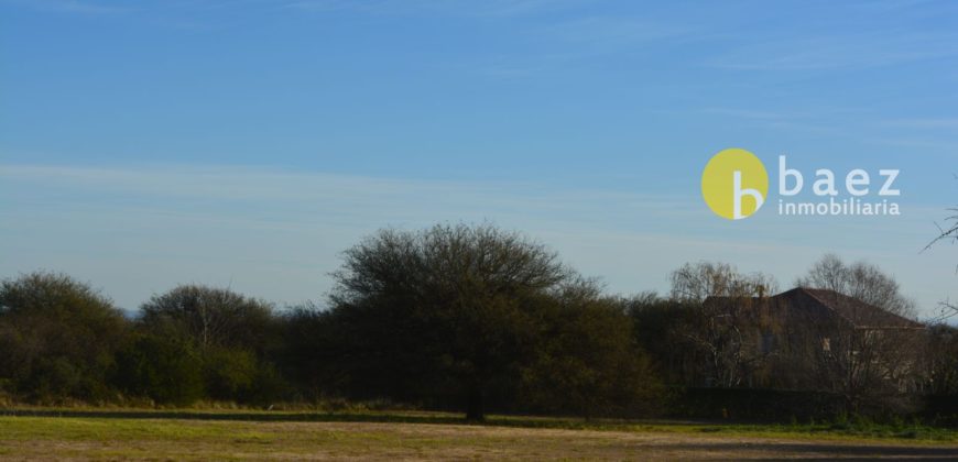 1 HA SOBRE RUTA N°1 EN CARPINTERÍA