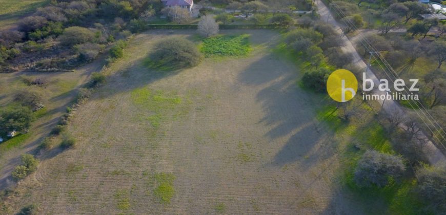 1 HA SOBRE RUTA N°1 EN CARPINTERÍA