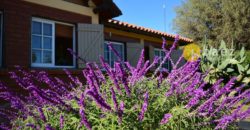 CASA CON DOS CABAÑAS Y PISCINA EN MERLO