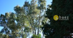 LOTE DE 900M2 EN MERLO