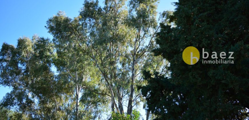 LOTE DE 900M2 EN MERLO