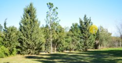 LOTE DE 900M2 EN MERLO