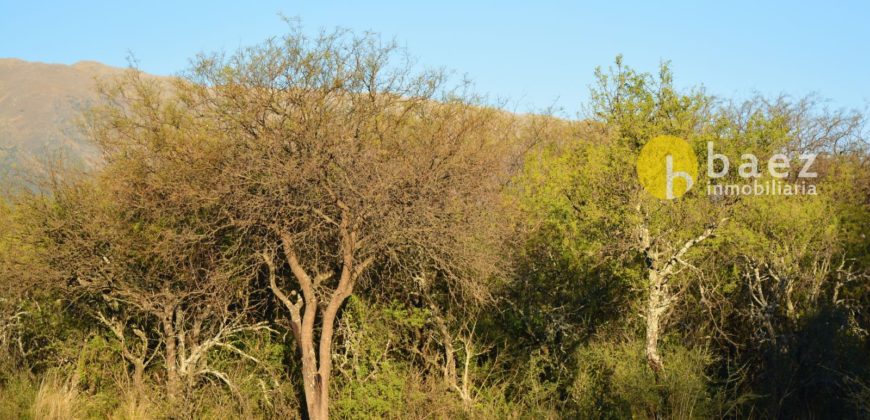 LOTE DE 1000M2 EN MERLO
