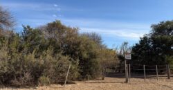 LOTE DE 1049M2 EN CARPINTERIA