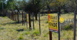 LOTE DE 4800M2 EN LOS MOLLES