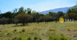 LOTE DE 4800M2 EN LOS MOLLES