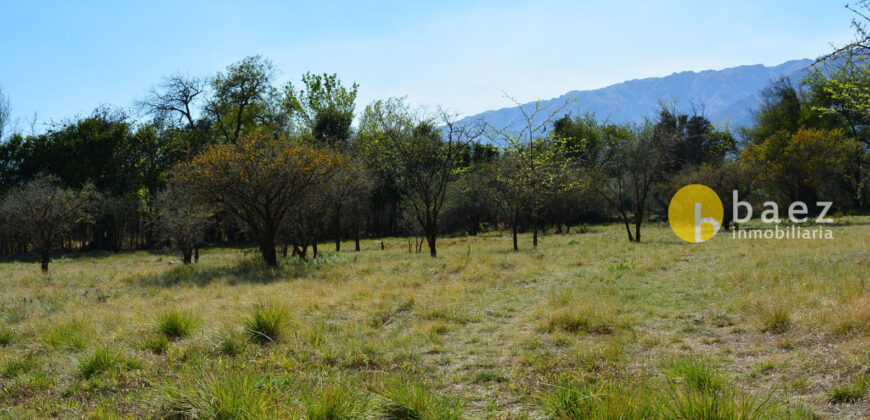 LOTE DE 4800M2 EN LOS MOLLES