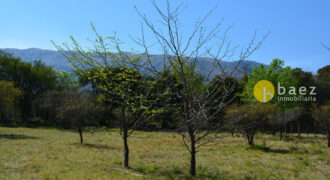 LOTE DE 4800M2 EN LOS MOLLES