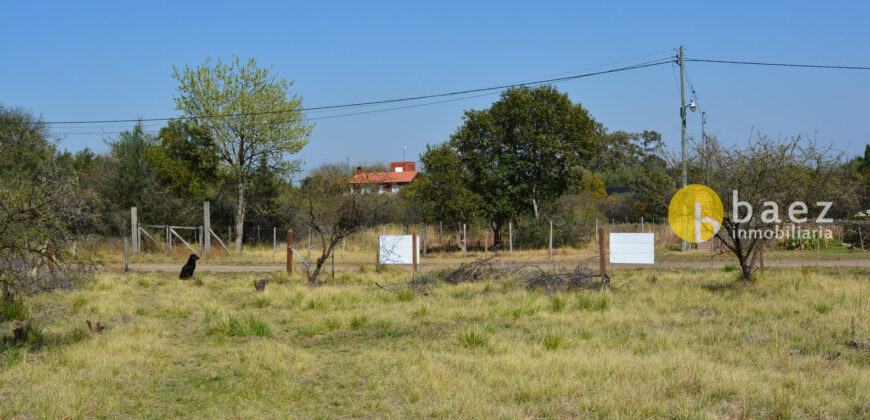 LOTE DE 4800M2 EN LOS MOLLES