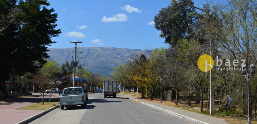 IMPORTANTES LOTES COMERCIALES CENTRICOS