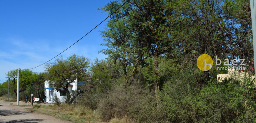 LOTE DE 1000M2 EN CARPINTERÍA