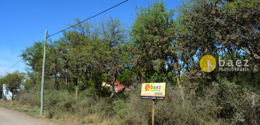 LOTE DE 1000M2 EN CARPINTERÍA