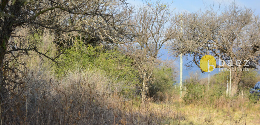 LOTE DE 4500M2 EN CARPINTERIA