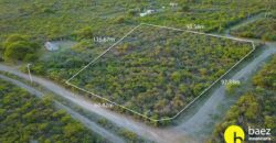 LOTE DE 8600M2 EN CARPINTERIA
