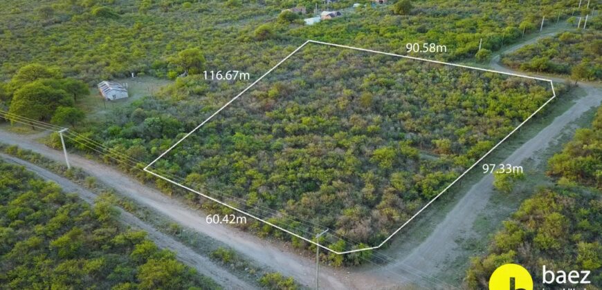 LOTE DE 8600M2 EN CARPINTERIA