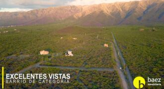 LOTE DE 8600M2 EN CARPINTERIA