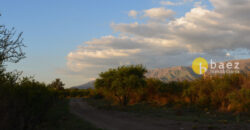 LOTE DE 8600M2 EN CARPINTERIA