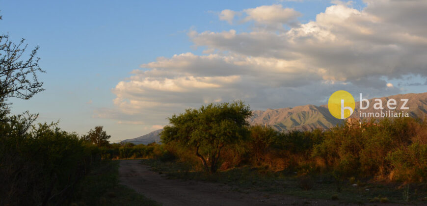 LOTE DE 8600M2 EN CARPINTERIA