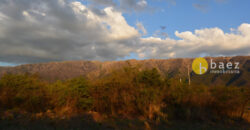 LOTE DE 8600M2 EN CARPINTERIA