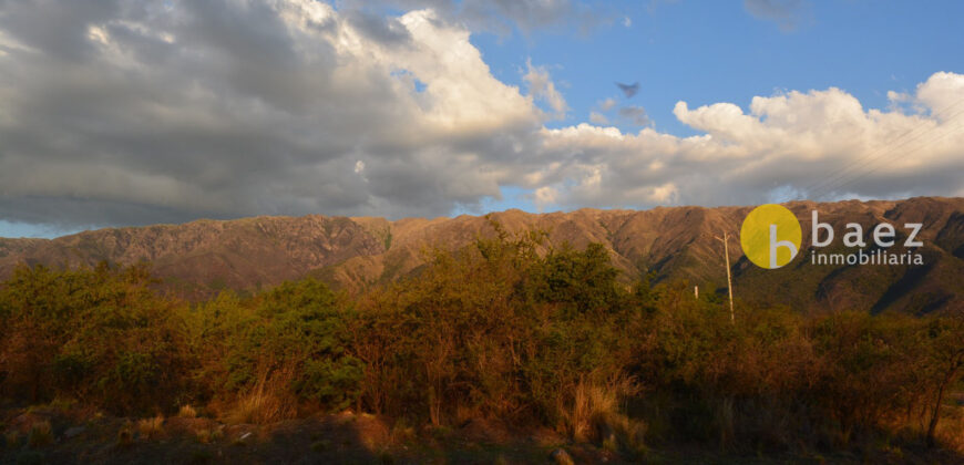 LOTE DE 8600M2 EN CARPINTERIA