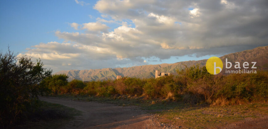 LOTE DE 8600M2 EN CARPINTERIA