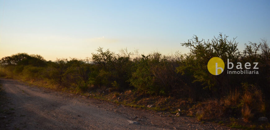 LOTE DE 8600M2 EN CARPINTERIA