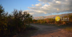 LOTE DE 8600M2 EN CARPINTERIA