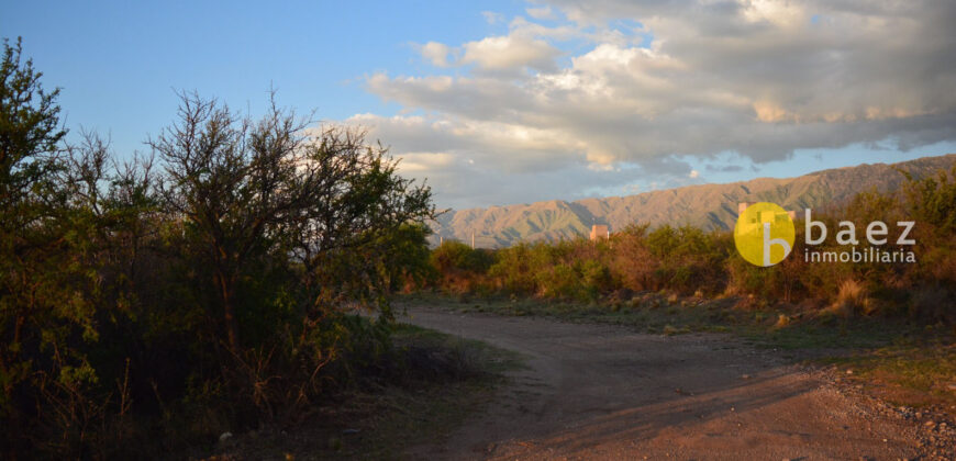 LOTE DE 8600M2 EN CARPINTERIA