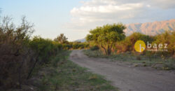 LOTE DE 8600M2 EN CARPINTERIA