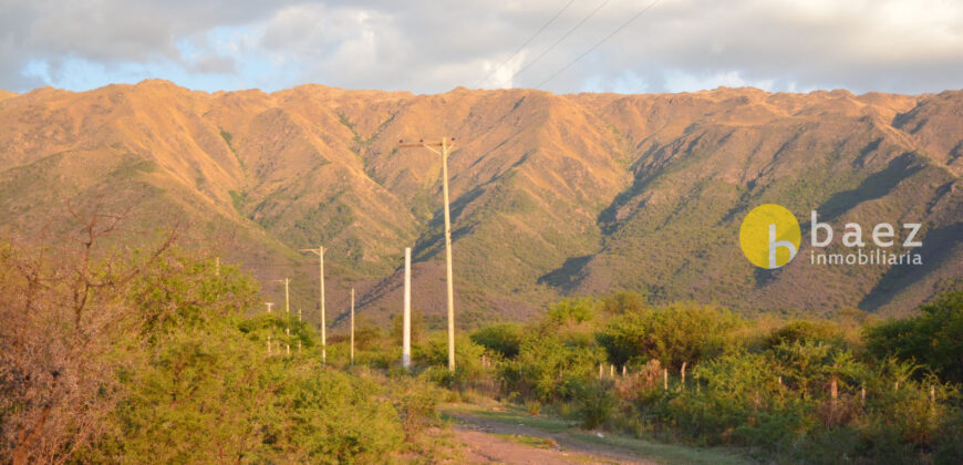 LOTE DE 8600M2 EN CARPINTERIA