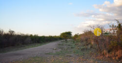LOTE DE 8600M2 EN CARPINTERIA
