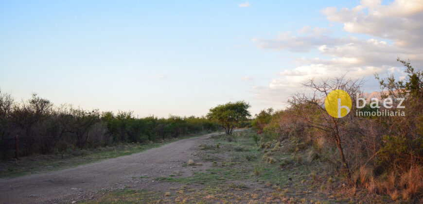 LOTE DE 8600M2 EN CARPINTERIA